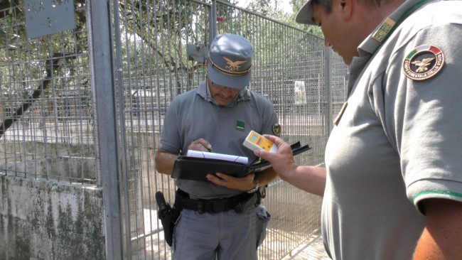 lettura microchip dei cani