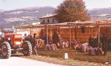 patata rossa