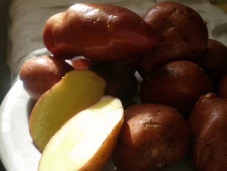 La patate rosse