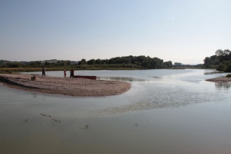ricerca-coccodrillo-a-civitanova-foce-chienti-foto-ap-3-450x300