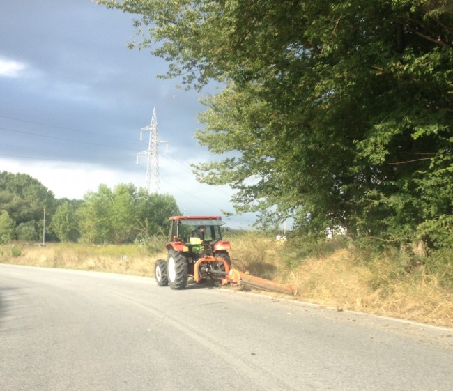 taglio dell'erba strada provinciale (2)