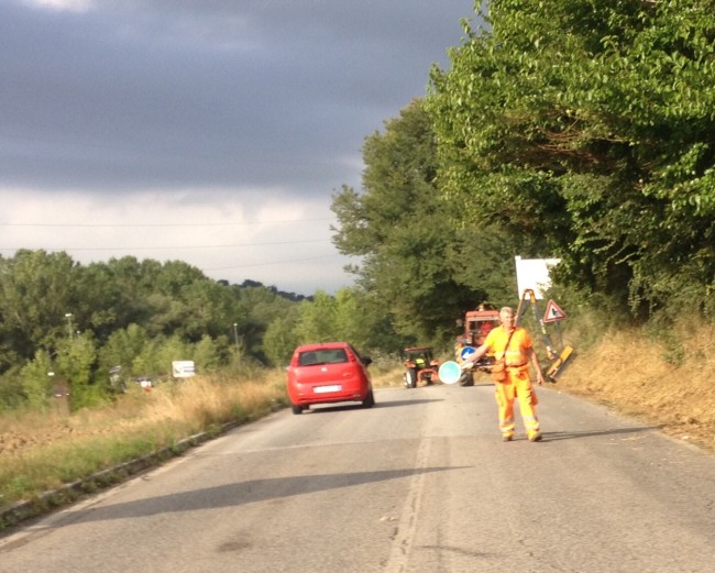 taglio dell'erba strada provinciale (3)