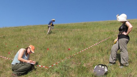 unicam science