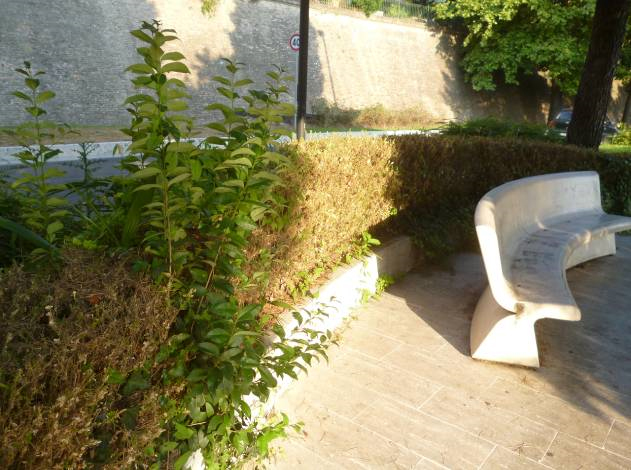 verde macerata 000