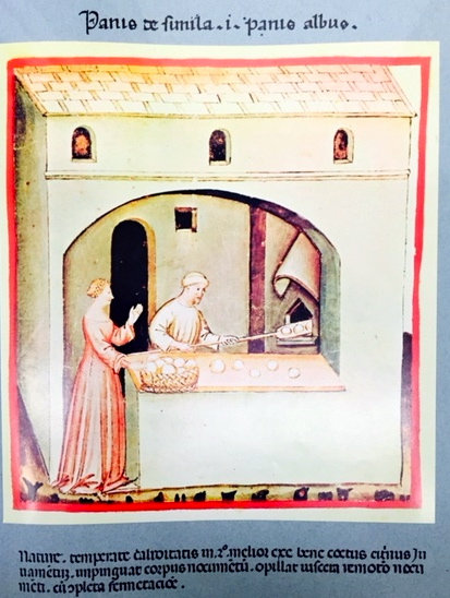 08 - riproduzione