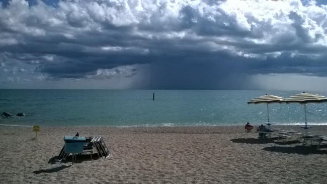 Fungo mare Porto recanati 2