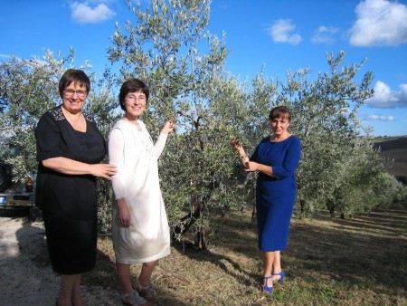 Gabriella, Sonia e Elisabetta Gabrielloni nell’oliveto