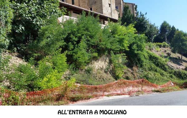 PONTE “PASSERELLA DEI POLITICI (3)