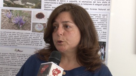 Paola Scocco 