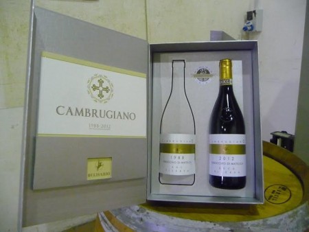 cambrugiano