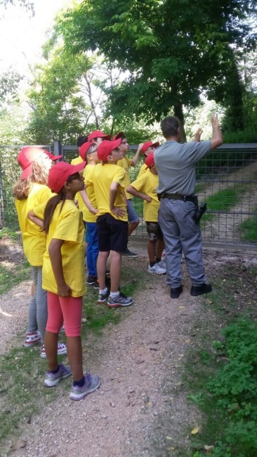 campo scuola protezione civile (9)