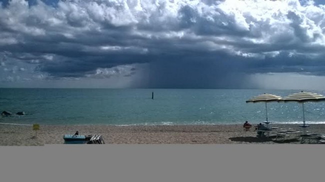 fungo mare Porto Recanati