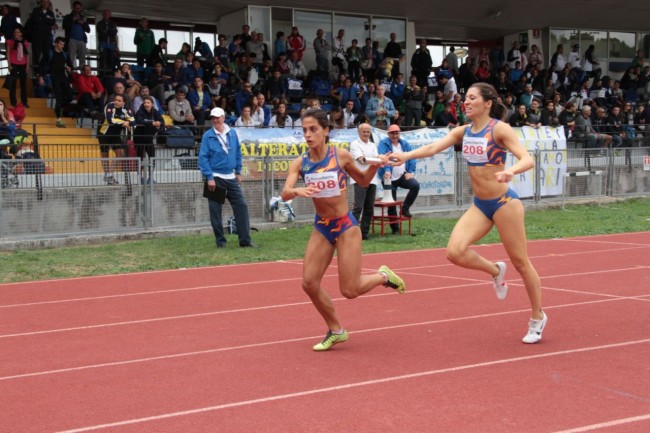 gare atletica avis helvia recina 2015 foto ap 19