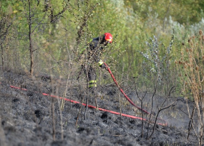 incendio colmurano 5