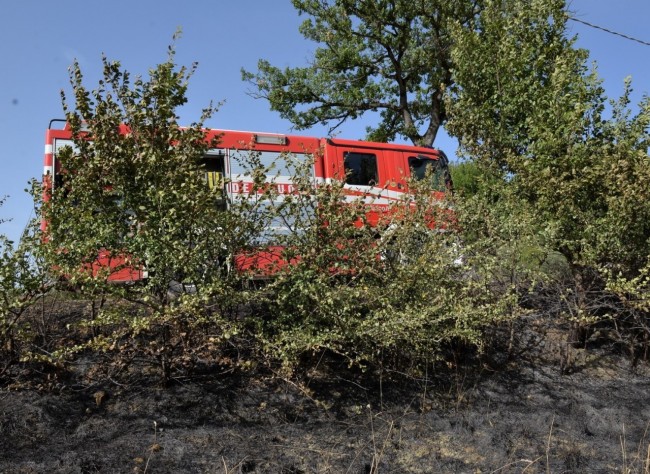 incendio colmurano 6