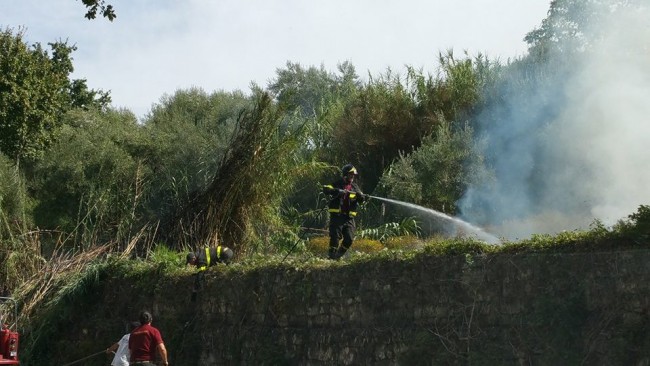 incendio tolentino 5