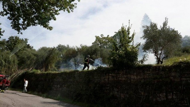 incendio tolentino