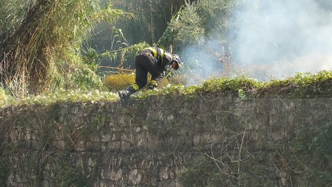 incendio tolentino 9