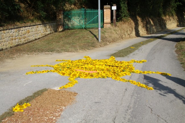 infiorata san nicola 2015 (2)