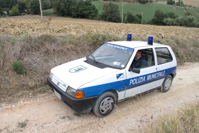 maiali fango loro piceno foto ap 4