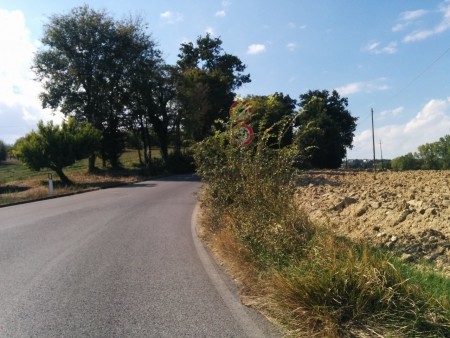 montecassiano 11
