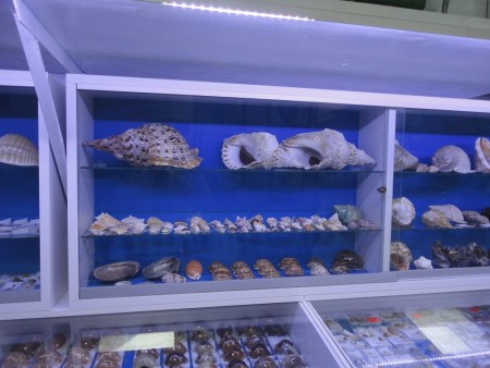 museo del mare (1)