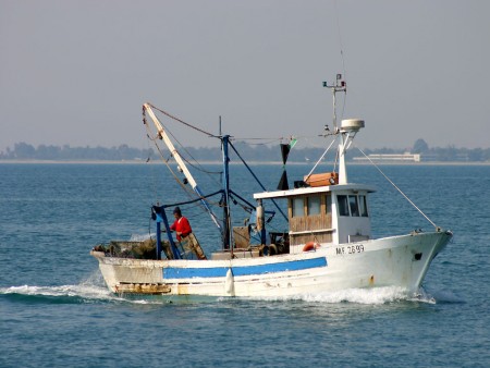 pesca