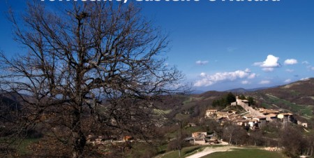Torricchio