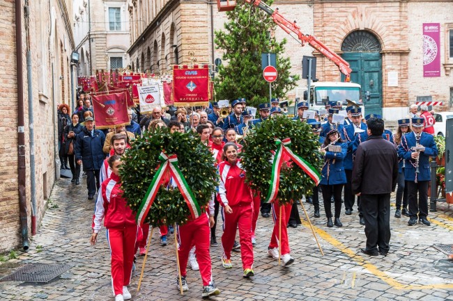 Avis Macerata (12)