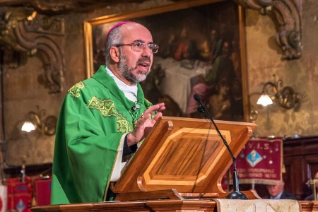 Avis Macerata (3)