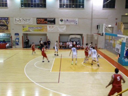 Basket Tolentino