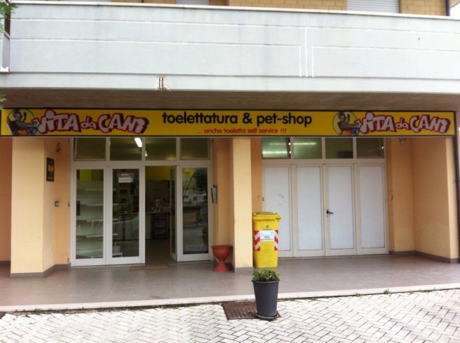 Furto Vita da cani porto recanati (1)