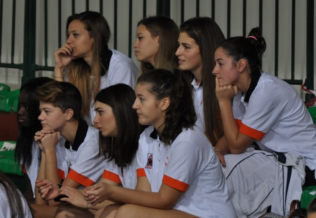 helvia volley 7
