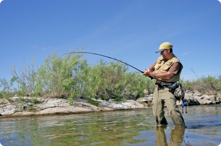 pesca