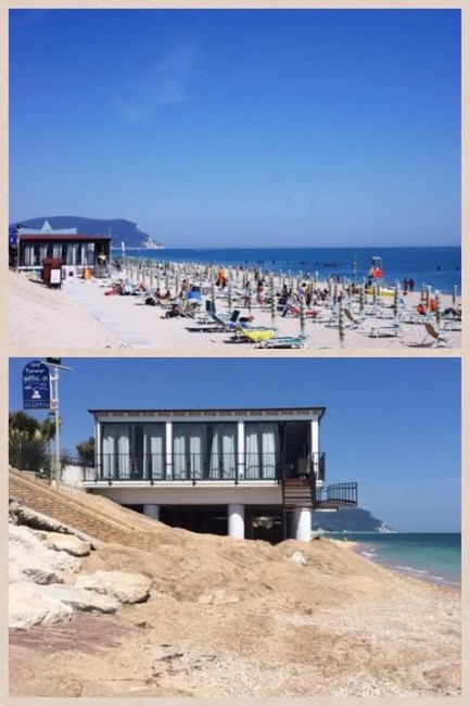 scossicci palm beach