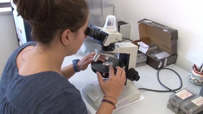 Studentessa di Geologia Unicam al lavoro al microscopio