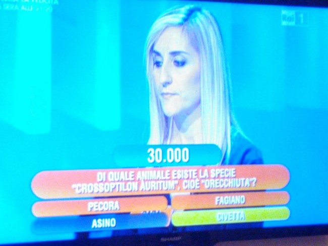 Sara Fusari Eredità (1)