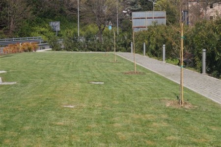 alberi recanati