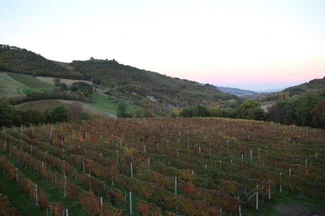 appassimenti 8