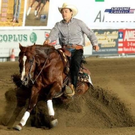 cavallo rodeo