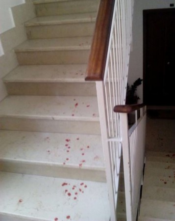 Il sangue sulle scale nella palazzina di via Crivelli