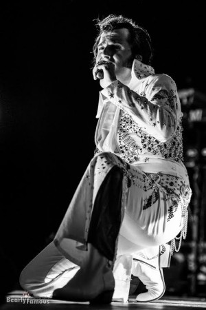 elvis civitanova