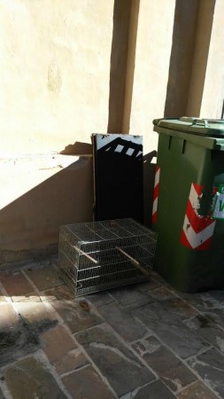 La gabbia per uccellini abbandonata