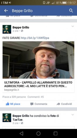 grillo cult 1
