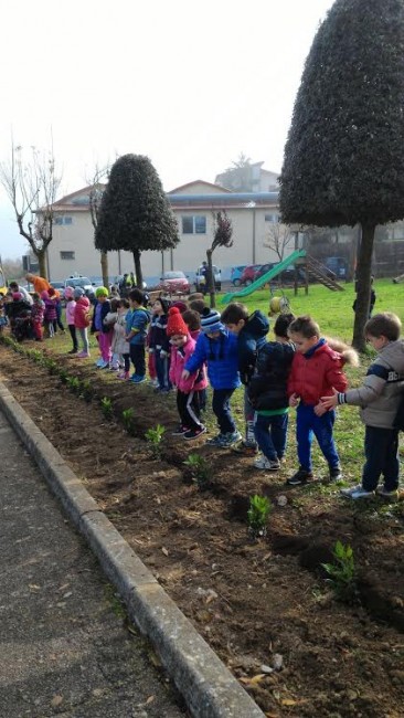 montefano gioranta dell'albero scuola