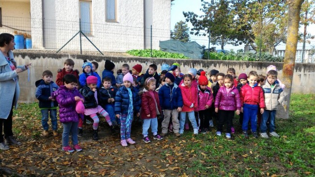 montefano gioranta dell'albero scuola 4