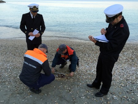 La guardia costiera sulla spiaggia dopo il ritrovamento della terza tartaruga