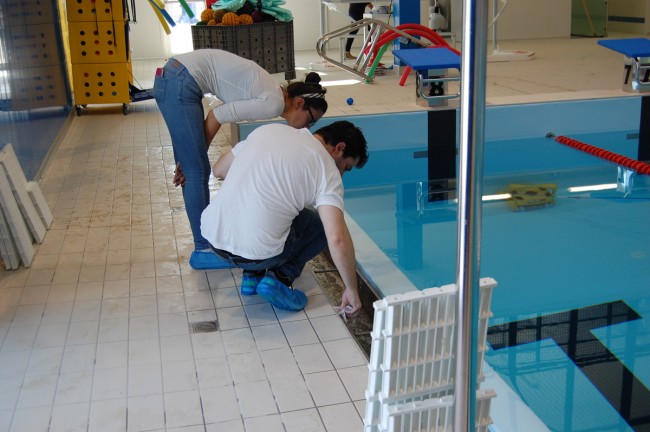 vandali piscina tolentino (25)
