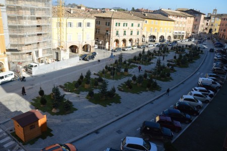 Il bosco urbano nella piazza a San Severino