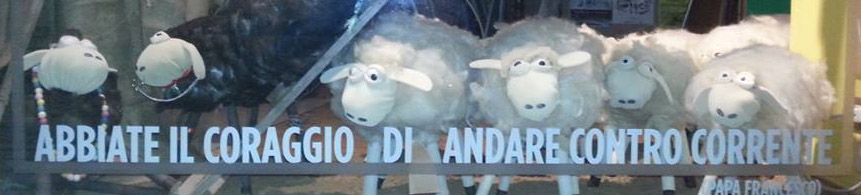 PRESEPE_PECORE_CORRIDONIA_LAURA_ACCIARRESI (3)